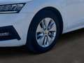 Skoda Octavia Combi 2,0 TDI Style DSG Weiß - thumbnail 14