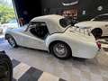 Triumph TR3 B rare version TCF Blanc - thumbnail 12
