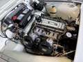 Triumph TR3 B rare version TCF Blanc - thumbnail 7