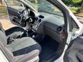 Opel Corsa 1.3 CDTi EcoFlex S/S Business Edition/NAVI/CRUISE/ Blanc - thumbnail 13