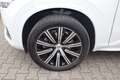 Volvo XC90 XC90 B5 D AWD Geartronic Momentum Pro|PANO|NAVI - thumbnail 31