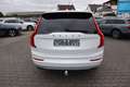Volvo XC90 XC90 B5 D AWD Geartronic Momentum Pro|PANO|NAVI - thumbnail 8
