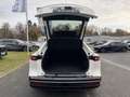 Mazda 6e EV 258PS AT Takumi Plus LED 360° Navi Blanc - thumbnail 5
