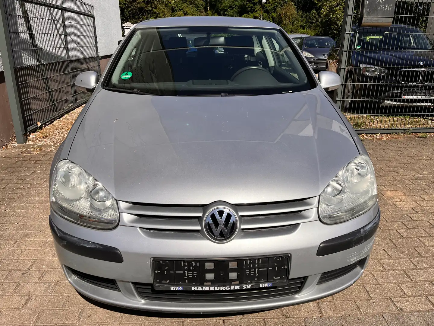 Volkswagen Golf Trendline Серый - 1