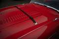 Austin-Healey 100 100/4*Denis Welch*Perfecte staat* Rot - thumbnail 14