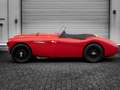 Austin-Healey 100 100/4*Denis Welch*Perfecte staat* Rot - thumbnail 5