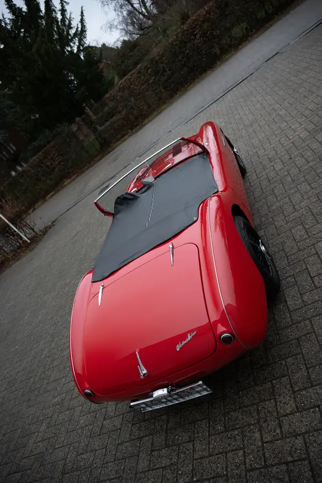 Austin-Healey 100/4*Denis Welch*Perfecte staat*, foto 9