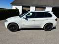 BMW X5 X5 xDrive30d Österreich-Paket Aut. Österreich-Paket Weiß - thumbnail 2