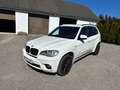 BMW X5 X5 xDrive30d Österreich-Paket Aut. Österreich-Paket Weiß - thumbnail 1