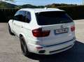 BMW X5 X5 xDrive30d Österreich-Paket Aut. Österreich-Paket Weiß - thumbnail 3