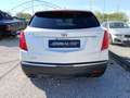 Cadillac XT5 3.6L V6 AWD AT Premium Weiß - thumbnail 6