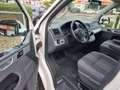 Volkswagen T5 Multivan Multivan Edition 25°Xenon°LED°AHK° Weiß - thumbnail 11