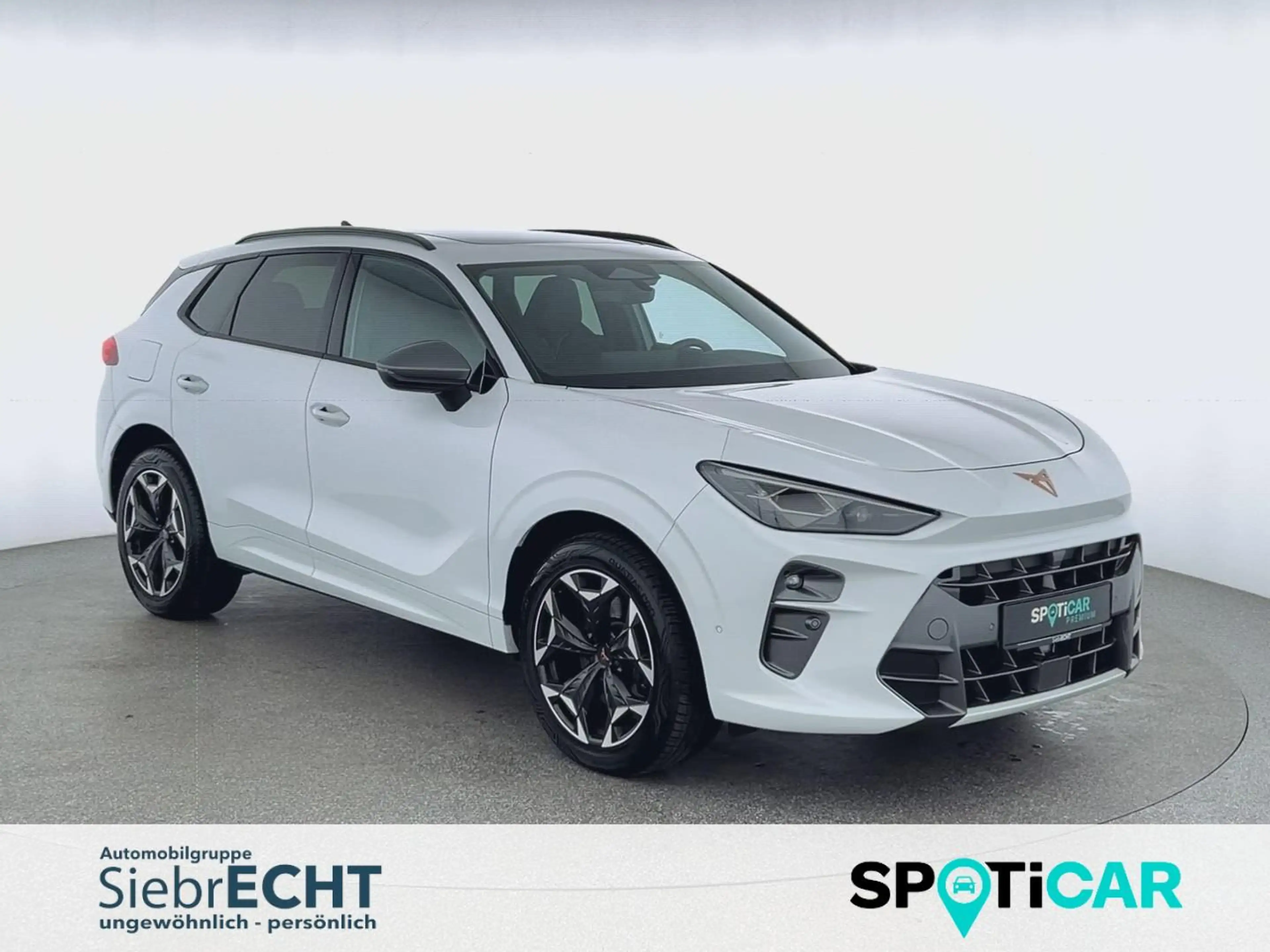 CUPRA Terramar 4Drive VZ 2.0 TSI*SHZ*RFK*NAVI*ACC*uvm