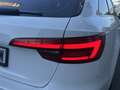 Audi A4 Avant 2.0TDI Black line edition S tronic 140kW Weiß - thumbnail 24