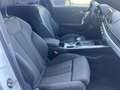 Audi A4 Avant 2.0TDI Black line edition S tronic 140kW Weiß - thumbnail 13