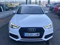 Audi A4 Avant 2.0TDI Black line edition S tronic 140kW Weiß - thumbnail 5