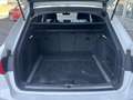 Audi A4 Avant 2.0TDI Black line edition S tronic 140kW Weiß - thumbnail 7
