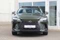 Lexus RX 450h 450h+ Plug-in Hybrid President Line I Pano I Mark Verde - thumbnail 4