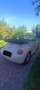Volkswagen New Beetle New Beetle Cabrio Cabrio 1.9 tdi 100cv Beige - thumbnail 2