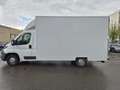 Fiat Ducato *neuer Motor*1.Hand* Weiß - thumbnail 4