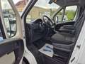 Fiat Ducato *neuer Motor*1.Hand* Weiß - thumbnail 10