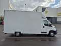 Fiat Ducato *neuer Motor*1.Hand* Weiß - thumbnail 8