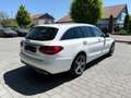 Mercedes-Benz C 250 d T-Modell Avantgarde 4Matic Standhz/LED Alb - thumbnail 5