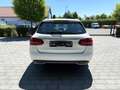 Mercedes-Benz C 250 d T-Modell Avantgarde 4Matic Standhz/LED Alb - thumbnail 8