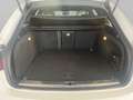 Audi A4 allroad - A4 Allroad 3.0 tdi Ambiente s-tronic Bianco - thumbnail 18