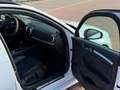 Audi RS3 Sportback 2.5 TFSI quattro S tronic 294kW Blanco - thumbnail 12