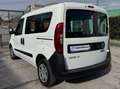 Fiat Doblo NEW COMBI 1.3 M-JET FURGONE N1- 2018 Bianco - thumbnail 5