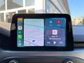 Ford Focus 1.0 EcoBoost Hybrid ST-Line 125CV Gris - thumbnail 12