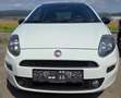 Fiat Punto Evo Evo 1,4 75 Weiß - thumbnail 5