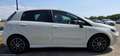 Fiat Punto Evo Evo 1,4 75 Weiß - thumbnail 7