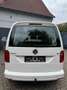Volkswagen Caddy *Scheckheftgepflegt *12.Monate Garantie*AHK* Blanc - thumbnail 4