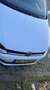 Volkswagen Polo 1.4 TDI (Blue Motion Technology) Wit - thumbnail 3