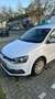 Volkswagen Polo 1.4 TDI (Blue Motion Technology) Wit - thumbnail 1