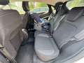 Ford Puma Puma 1.0 ecoboost h Titanium Design s Bianco - thumbnail 10