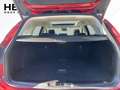 Ford Focus Turnier 1.0 EcoBoost Titanium *LED*NAVI*LM Rot - thumbnail 6