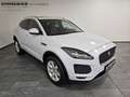 Jaguar E-Pace S AWD 360-CAM ACC CAM LED NAVI PANO SD Bianco - thumbnail 2