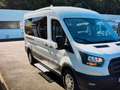 Ford Transit Kombi 350 L3 Trend Weiß - thumbnail 21