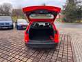 Ford Focus 1,0 EcoBoost Rouge - thumbnail 11