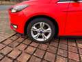 Ford Focus 1,0 EcoBoost Rouge - thumbnail 15