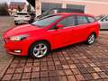 Ford Focus 1,0 EcoBoost Rouge - thumbnail 1