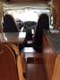 Dethleffs camper globe t4 4persons Wit - thumbnail 13