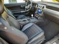 Ford Mustang BULLITT NERO-Shadow black-km.4473-IVA ESPOSTA Negro - thumbnail 12