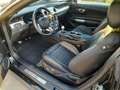 Ford Mustang BULLITT NERO-Shadow black-km.4473-IVA ESPOSTA INCL Noir - thumbnail 11