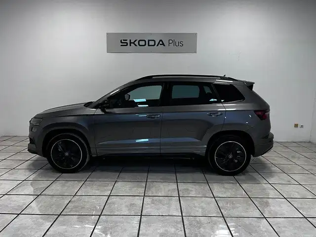 Skoda Karoq view 14