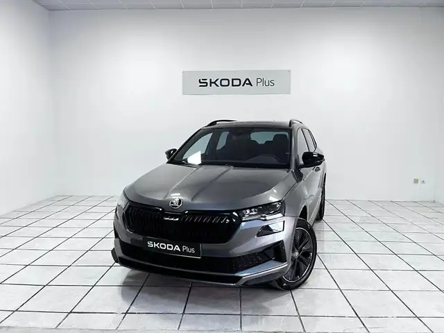 Skoda Karoq view 10