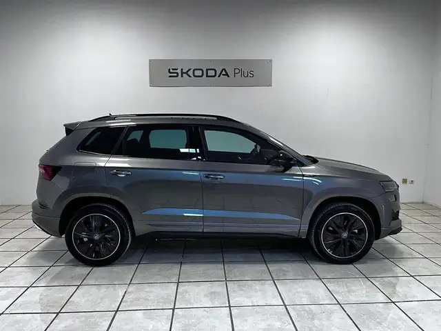 Skoda Karoq view 3